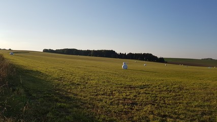 Landscape after the harvest season is over.  © 1/100 SEKUNDY