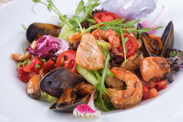 Seafood salad on a white plate
