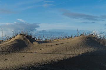 Dunes at the beach