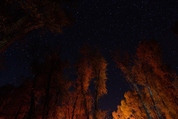 Fototapeta na wymiar Sternenhimmel über dem Gros Ventre Campground im Grand Teton National Park