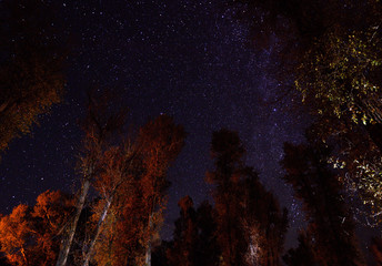 Sternenhimmel über dem Gros Ventre Campground im Grand Teton National Park
