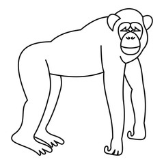 Marmoset monkey icon, outline style