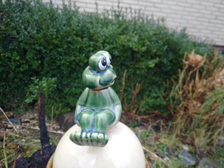 glass frog sitting