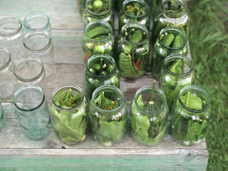 Jars With Fresh Vegetables