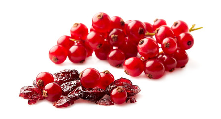 red currant berries photographed closeup isolated on a white background