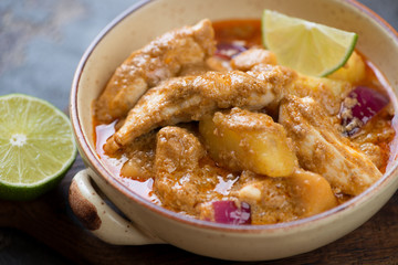 Close-up of traditional thai massaman curry with chicken, selective focus, studio shot