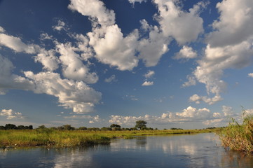African river. Namibia