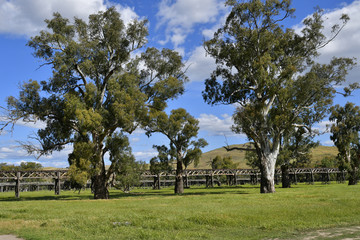 Australia, NSW, Gundagai, Old Railway Bridge