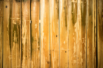 Bamboo is beautiful Used as background