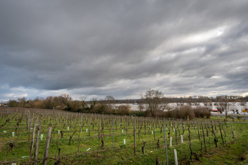 Fototapeta premium Oestrich Winkel, Rheingau, Germany. Cloudy day.