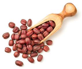 jojoba fruits in the olive wood spoon, isolated on white