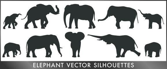 Elephant vector silhouettes