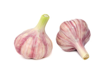 Garlic isolated on white background