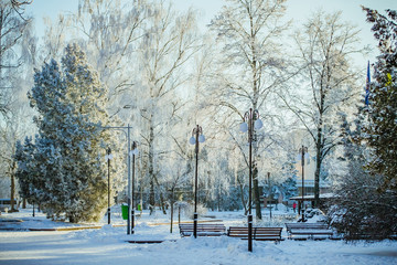 Winter city landscape. Beautiful winter landscape. City in the snow. Hoarfrost on the trees. Snow. Trees in the snow. 