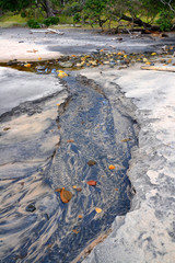 Orokawa scenic reserve