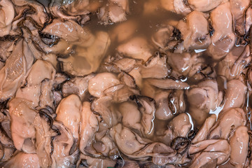 Fresh mussels at a fish market