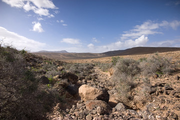 Fuerteventura Desert