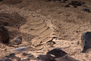 Fuerteventura Desert