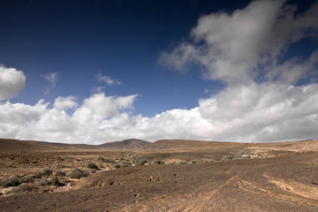 Fototapeta na wymiar Fuerteventura Desert