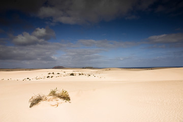 Fuerteventura Desert