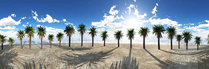 Palm trees in a row on a tropical beach
