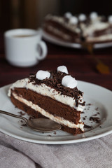 Slice of cream cake with chocolate and marshmallows
