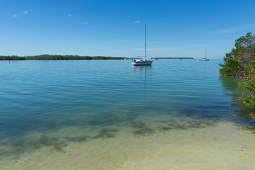 Obraz na płótnie Canvas USA, Florida, Boats on the water of florida keys between mangrove forest