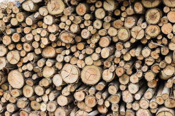 Firewood stacked for use in stoves