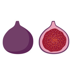 purple fig fruit sweet summer on a white background icon illustration vector