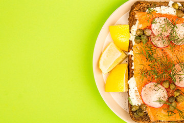 Smoked Salmon With Cream Cheese and Radishes Open Face Rye Bread Sandwich