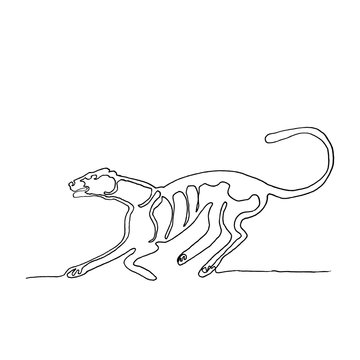 Continuous one line drawing. Running cougar. American animal. Minimalism style.  Vector Ink illustration for your design,logo, card, banner, poster, flyer.