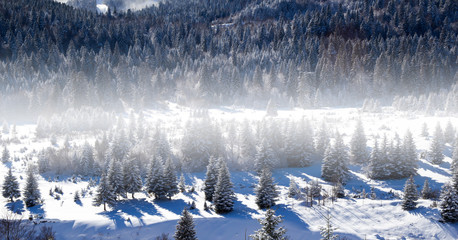 Mountain in winter - Bosnian olympic mountain Bjelasnica