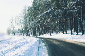 Forrest road with pine trees nearby and ground covered with snow