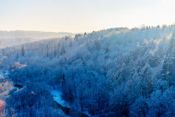 Pine forrest covered with snow, mountain river, and clear blue sky in Belmontas, Vilnius, Lithuania