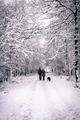 people are walking in the snow-covered forest