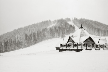 Wooden house in frosty day