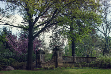 Verwunschene romantische Treppe mit Mauer inmitten von B&auml;umen im Central Park in New York City