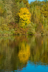 Reflektionen am See im Herbst