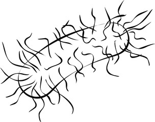 Bacteria Icon, Bacteria