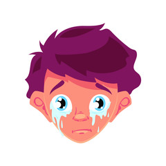 Face of young crying boy with beautiful blue eyes, vector illustration isolated on white background, cartoon style