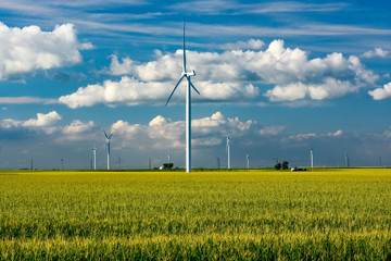 Windmills in the Farm