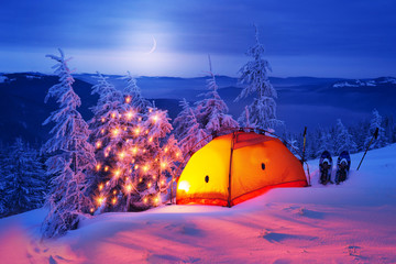 Forêt d& 39 hiver illuminée dans les Carpates