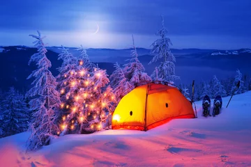 Foto op Plexiglas Verlicht winterbos in de Karpaten © panaramka