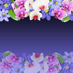 Beautiful floral background with orchids and liverwort 
