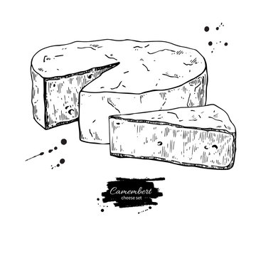 Camembert cheese block and triangle drawing. Vector hand drawn food sketch.