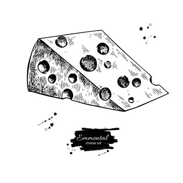 Emmental cheese drawing. Vector hand drawn food sketch. Engraved triangle slice cut.