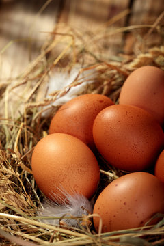 Hen organic eggs in the nest. On wooden rustic background.Closeup