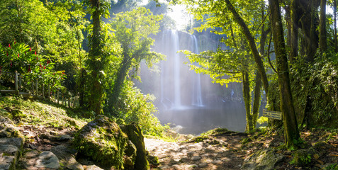 Misol Ha Waterfall Mexico