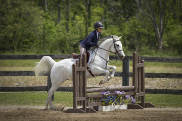 Woman and Arabian Cross over Natural Ladder Fence