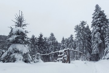 Góry Bialskie zimą, Polska